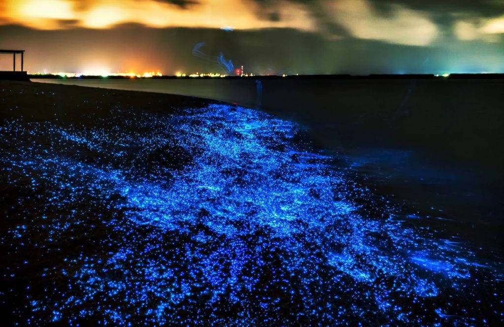 Starry sea island off the beaten path